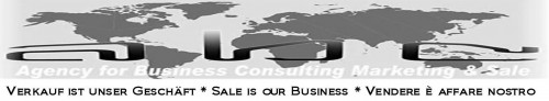  - agency for business consulting